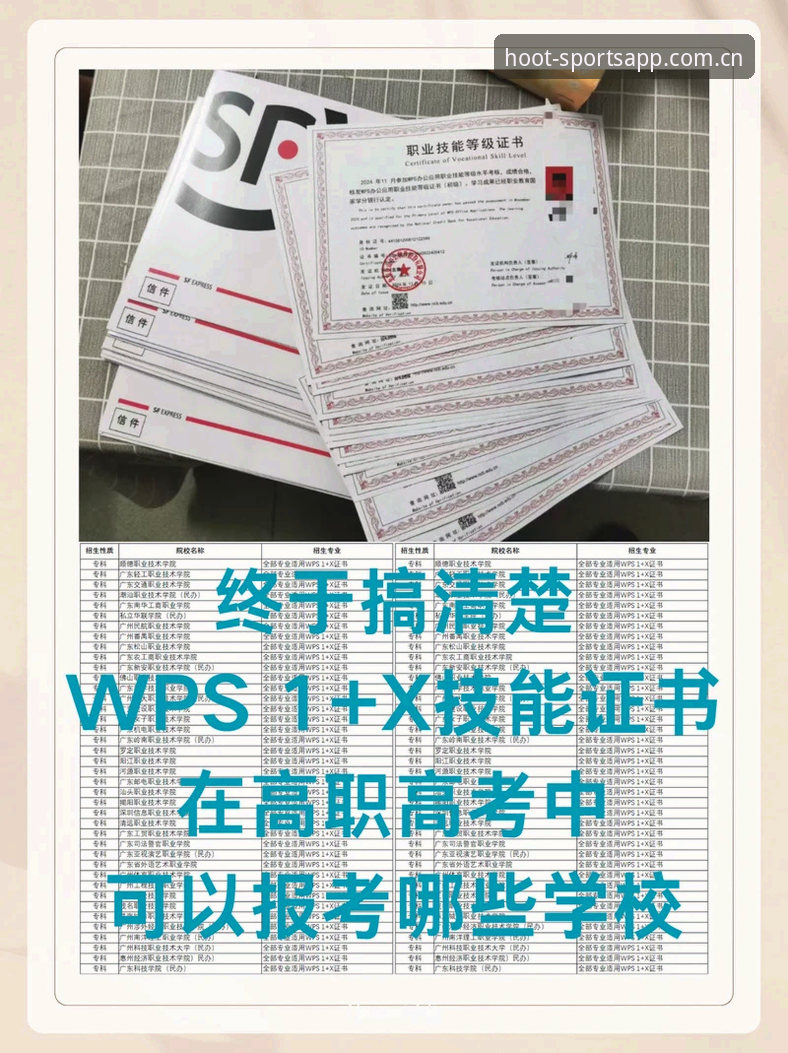2026猫头鹰体育中国官网5步实操指南:从下载到数据看盘一学就会