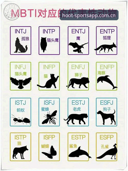 猫头鹰APP中国版必备功能深度解析:从数据洞察到竞技分析的全新体验